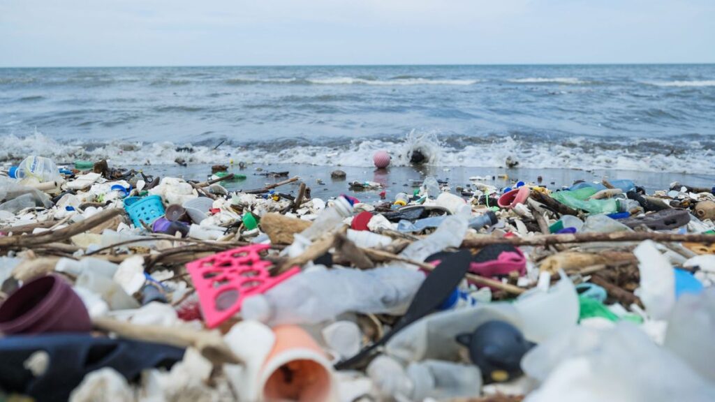 The Hidden Dangers of Plastic Pollution